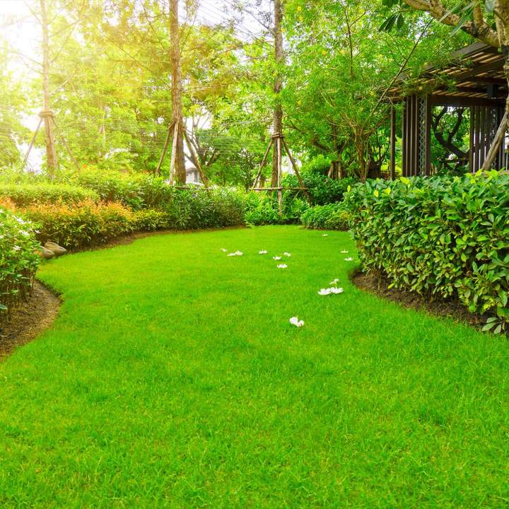 Entretien d'espaces vert Hesdin