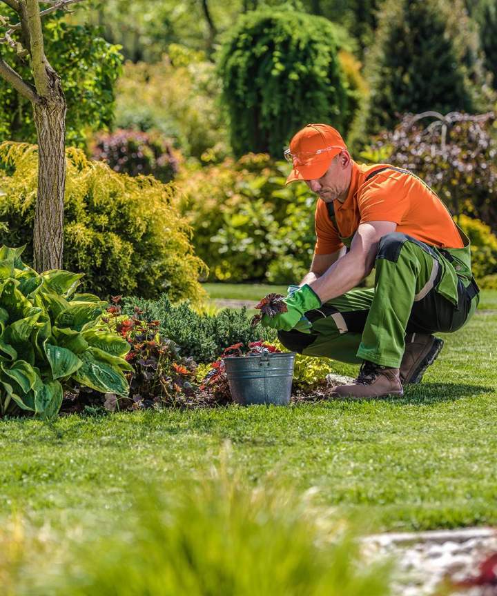 Aménagement extérieur Hesdin