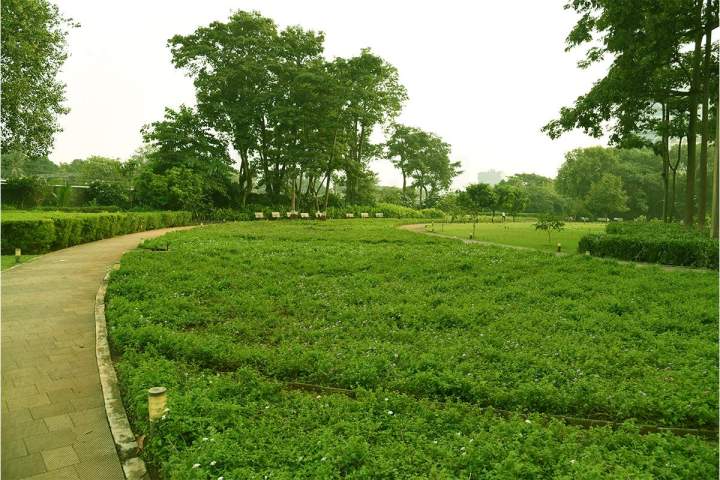 Service en entretien d'espaces vert Hesdin