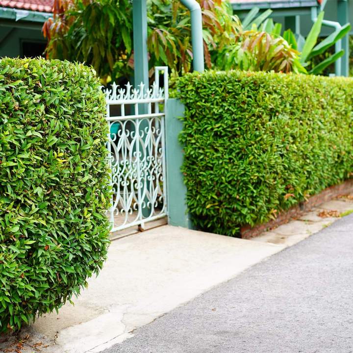 Travaux d'installation de clôture Hesdin