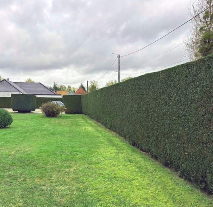 Entretien d'espaces vert Hesdin