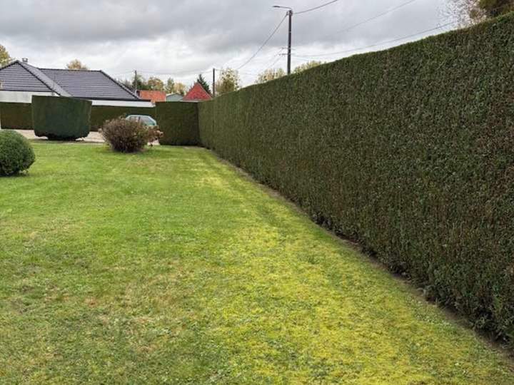 Soins et entretien de jardins à Hesdin