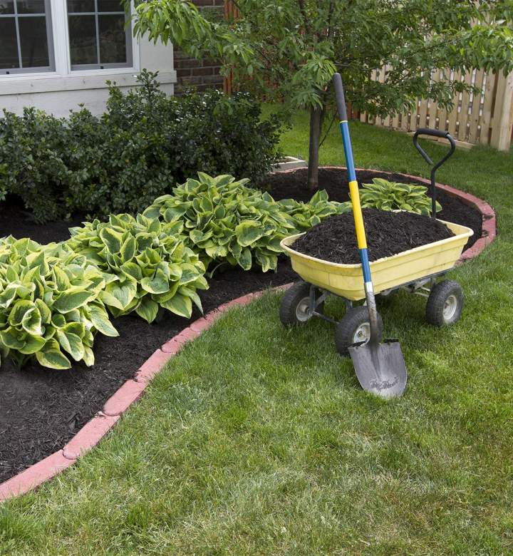 Entretien de jardin à Hesdin