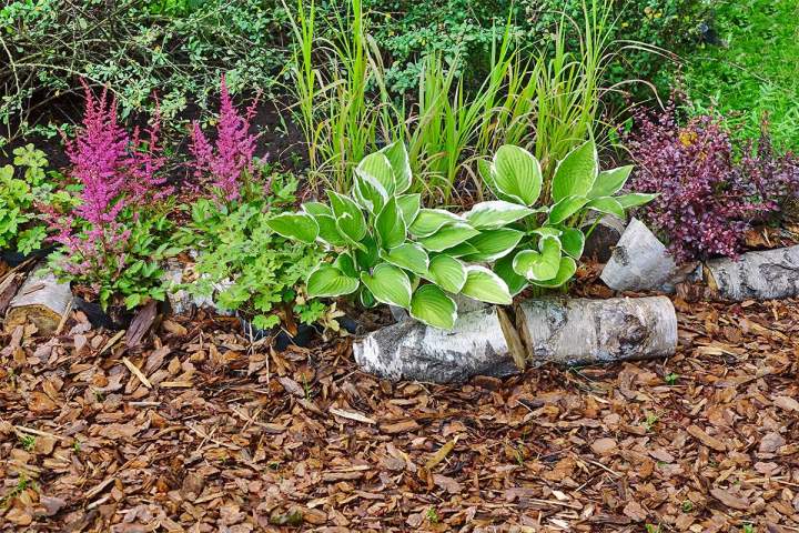 Service d'entretien d'espaces vert Hesdin