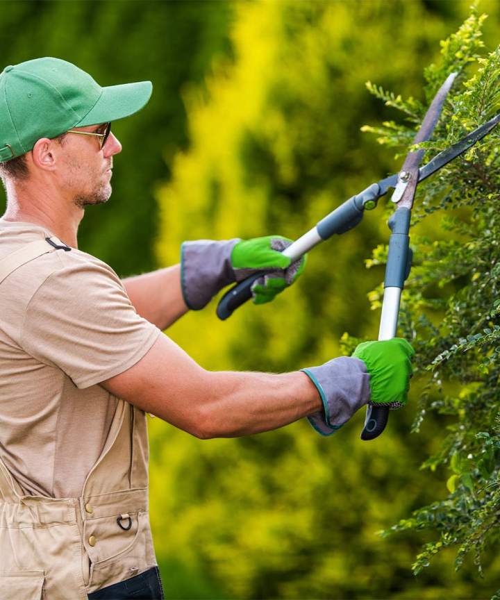 Aménagement paysager à Hesdin